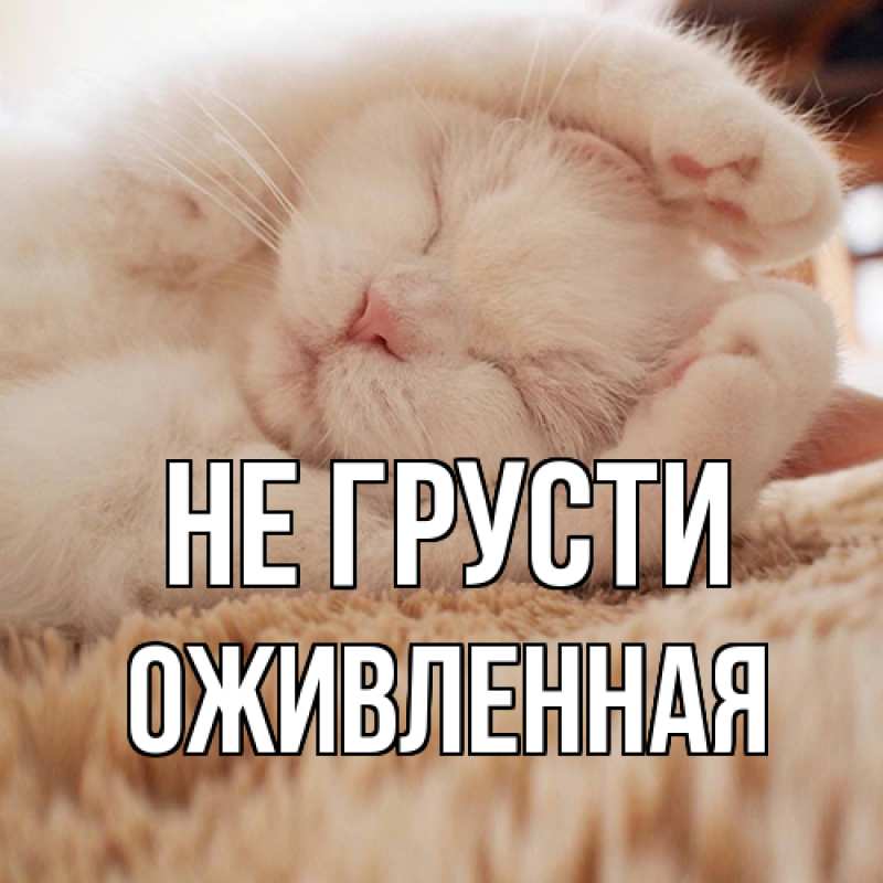 Картинка Не грусти, Оживленная