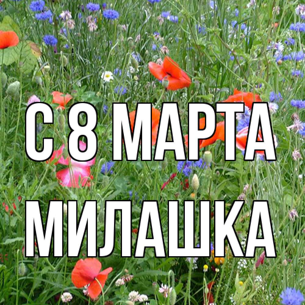 Открытка на каждый день с именем, Милашка C 8 МАРТА международный женский день 4 Прикольная открытка с пожеланием онлайн скачать бесплатно 