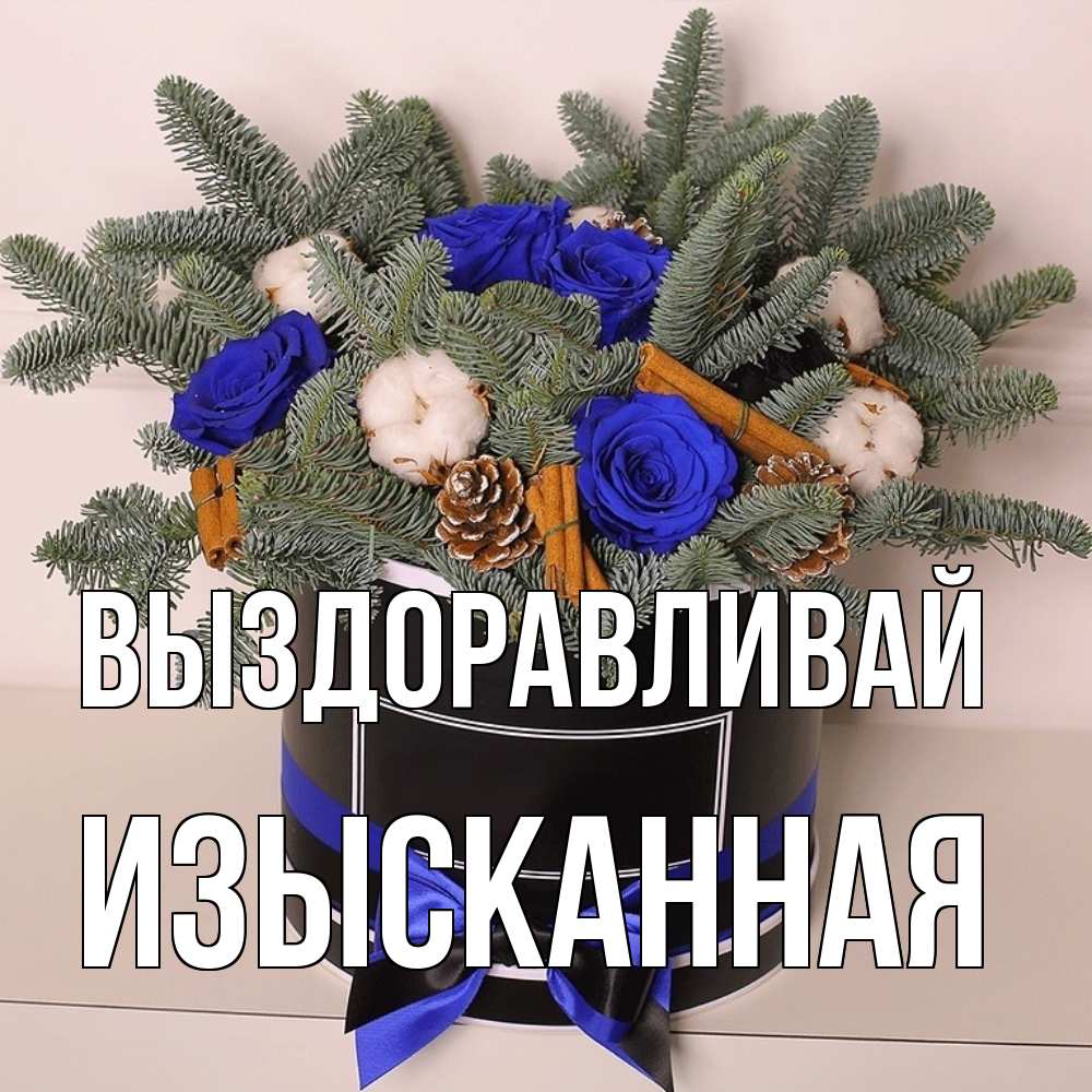 Открытка на каждый день с именем, изысканная Выздоравливай короче кто то загрузил эти шишки Прикольная открытка с пожеланием онлайн скачать бесплатно 
