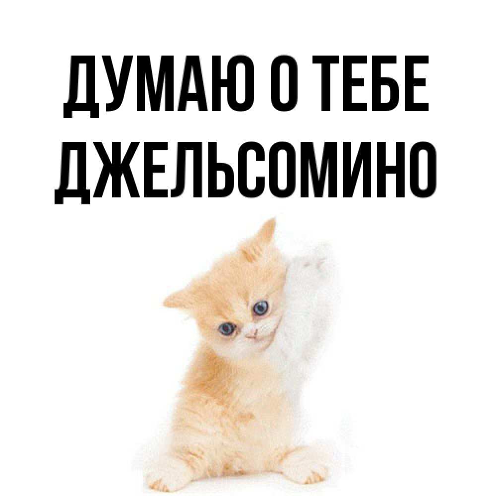 Открытка на каждый день с именем, Джельсомино Думаю о тебе зверушки и милота Прикольная открытка с пожеланием онлайн скачать бесплатно 