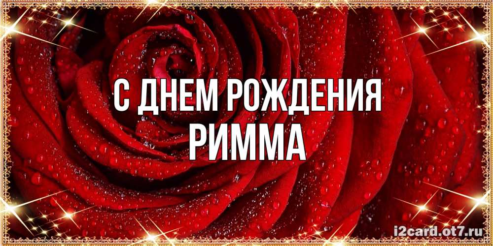 Открытка на каждый день с именем, Римма С днем рождения роса на розе блестящая в лучах солнца Прикольная открытка с пожеланием онлайн скачать бесплатно 