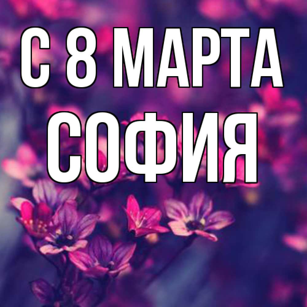 Открытка на каждый день с именем, София C 8 МАРТА небольшие цветы 1 Прикольная открытка с пожеланием онлайн скачать бесплатно 
