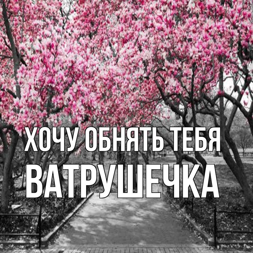 Открытка на каждый день с именем, ватрушечка Хочу обнять тебя обработанное фото Прикольная открытка с пожеланием онлайн скачать бесплатно 