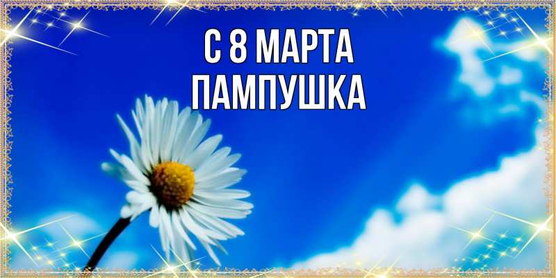 Картинка C 8 МАРТА, Пампушка