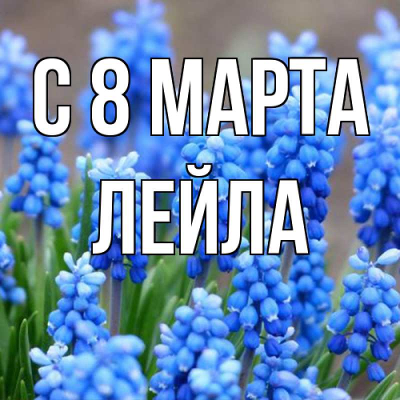 Картинка C 8 МАРТА, Лейла