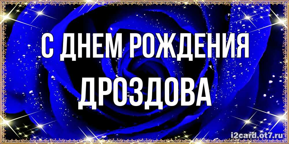 Открытка на каждый день с именем, Дроздова С днем рождения голубые цветы в росе Прикольная открытка с пожеланием онлайн скачать бесплатно 