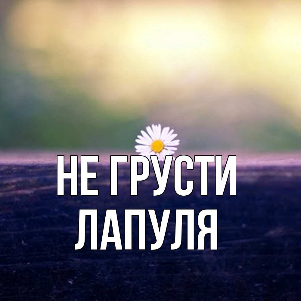 Открытка на каждый день с именем, Лапуля Не грусти красота Прикольная открытка с пожеланием онлайн скачать бесплатно 