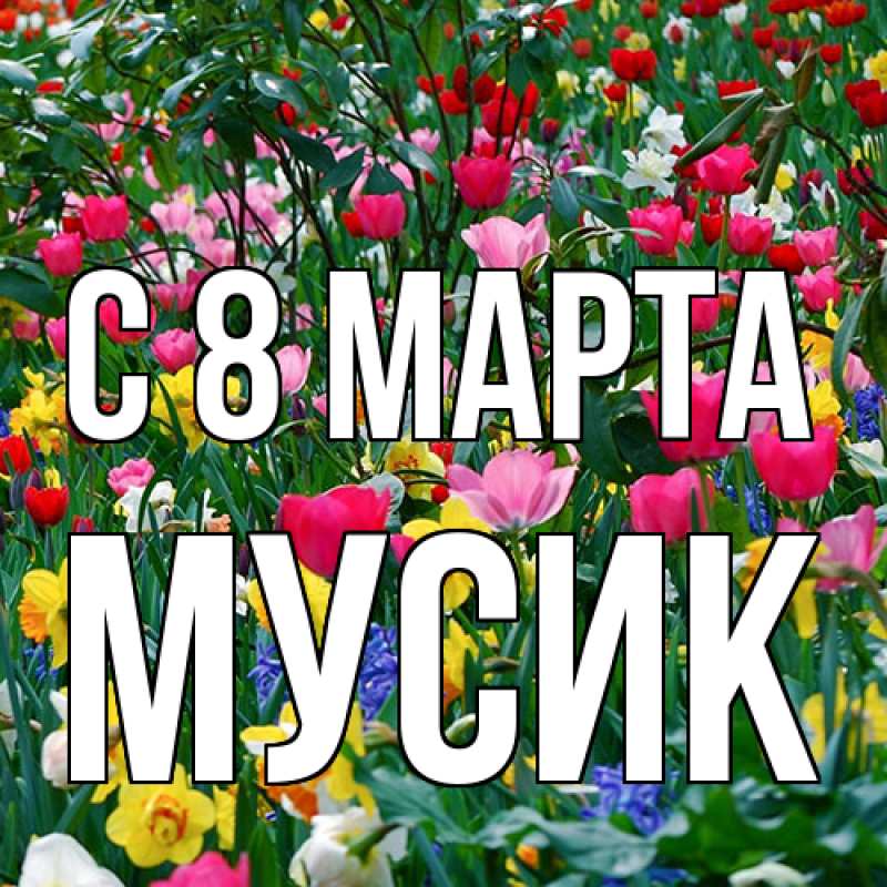 Картинка C 8 МАРТА, мусик