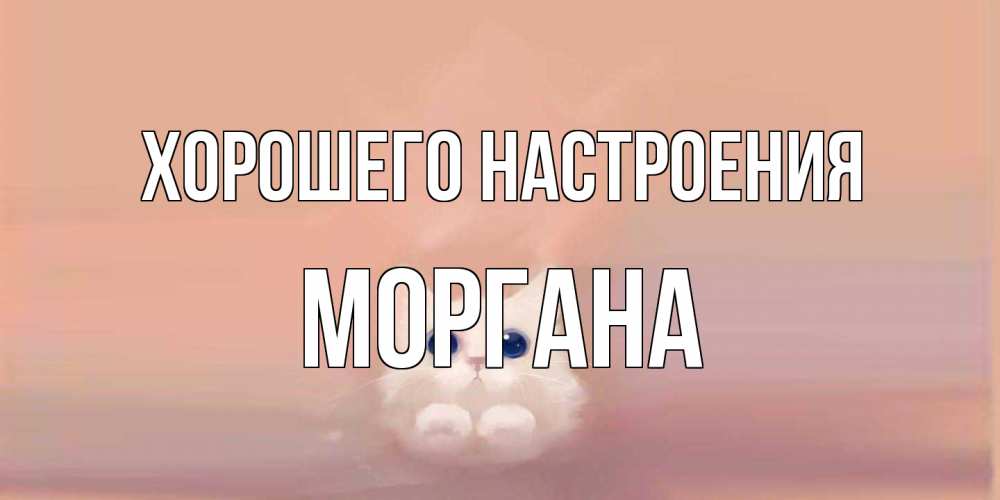 Открытка на каждый день с именем, Моргана Хорошего настроения кошка Прикольная открытка с пожеланием онлайн скачать бесплатно 