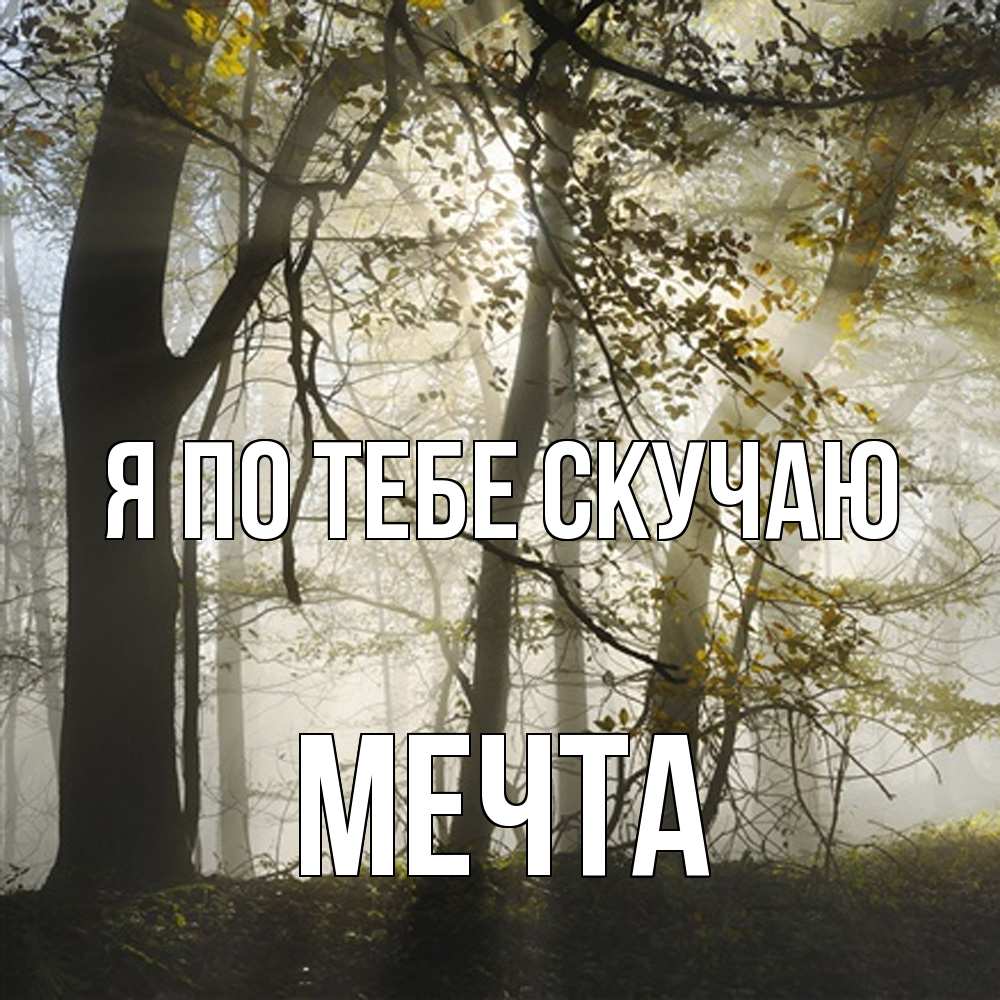 Открытка на каждый день с именем, мечта Я по тебе скучаю грустно Прикольная открытка с пожеланием онлайн скачать бесплатно 