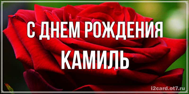 Картинка С днем рождения, Камиль