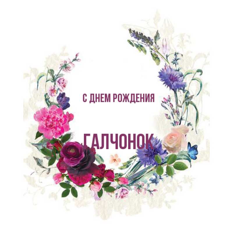 Картинка С днем рождения, галчонок