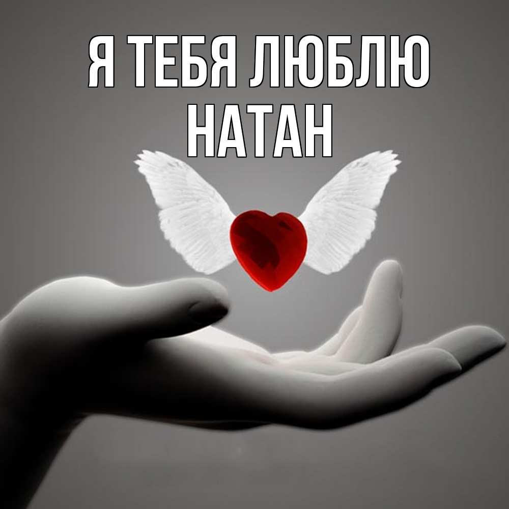 Открытка на каждый день с именем, Натан Я тебя люблю сердце Прикольная открытка с пожеланием онлайн скачать бесплатно 
