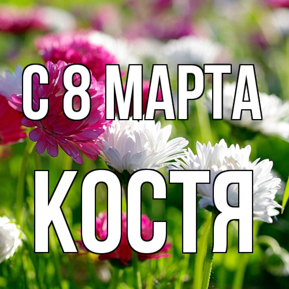 Открытка на каждый день с именем, Костя C 8 МАРТА международный женский день 1 Прикольная открытка с пожеланием онлайн скачать бесплатно 