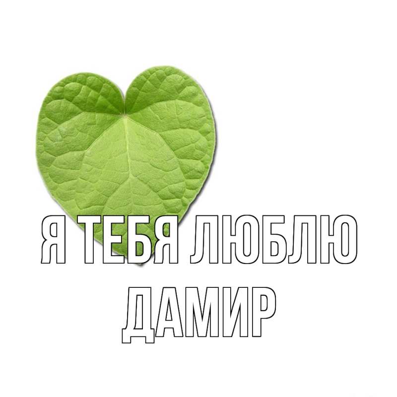 Картинка Я тебя люблю, ДАМИР