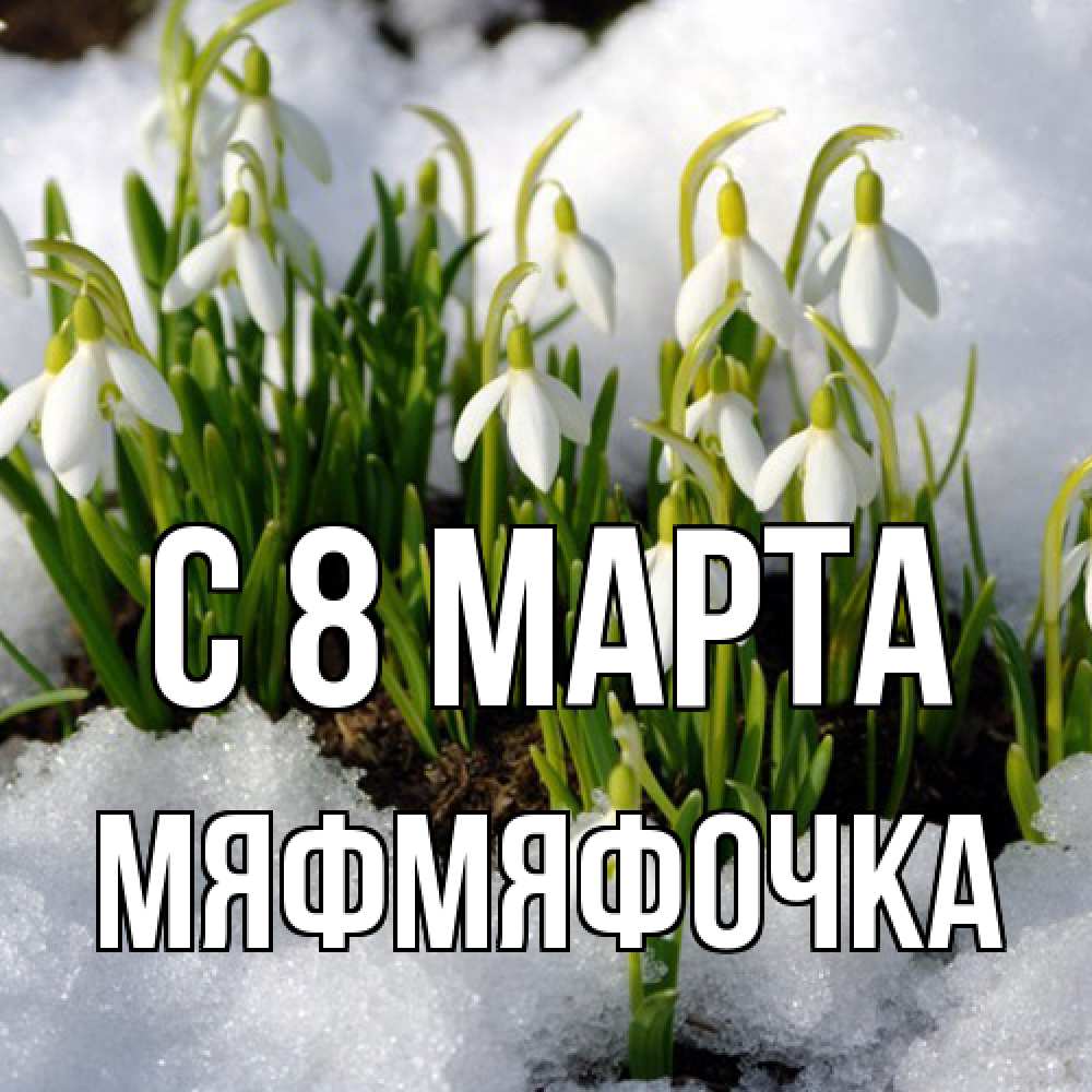 Открытка на каждый день с именем, мяфмяфочка C 8 МАРТА цветы весенние Прикольная открытка с пожеланием онлайн скачать бесплатно 