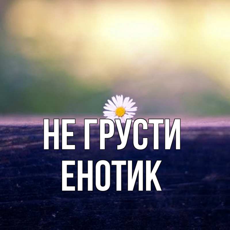 Картинка Не грусти, Енотик