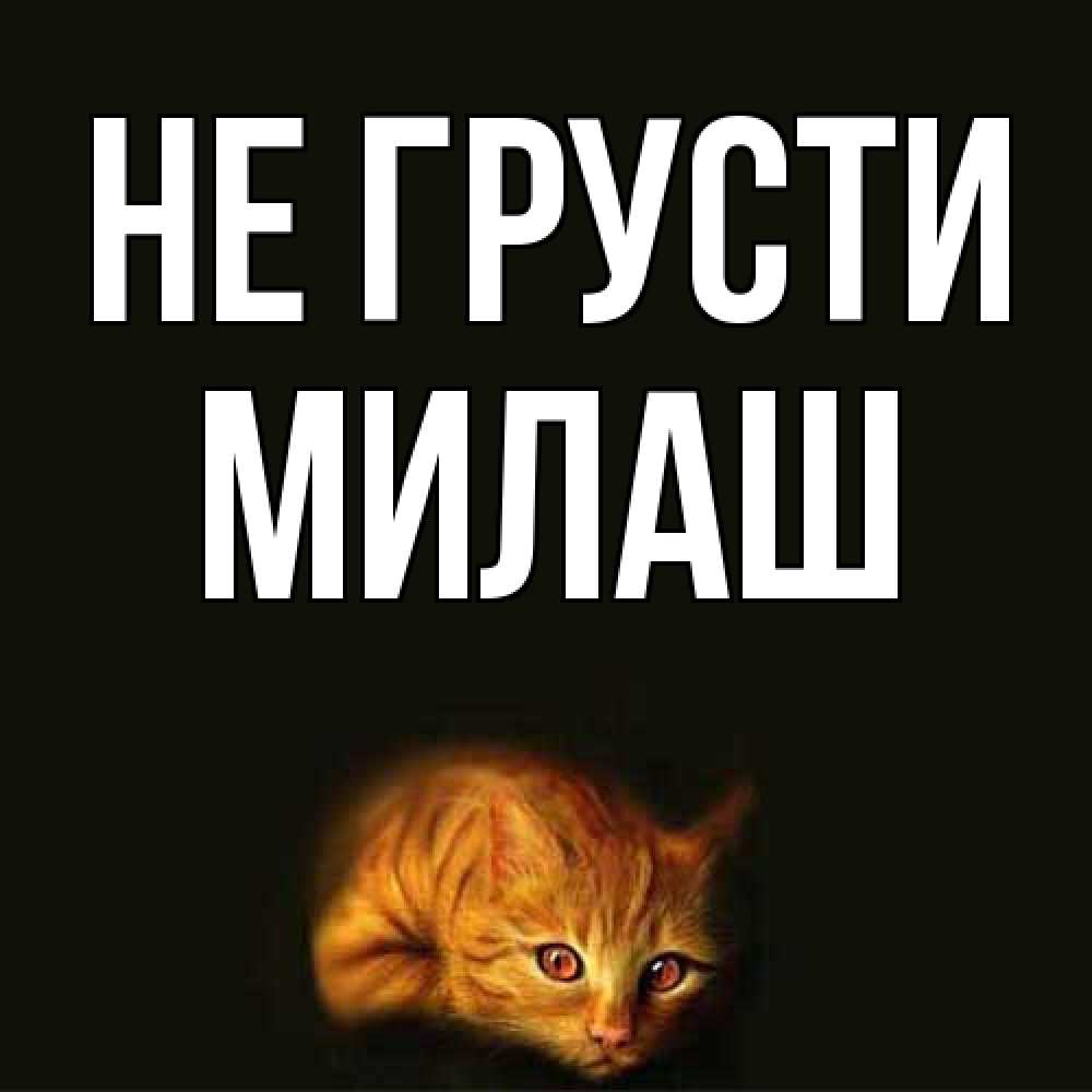 Открытка на каждый день с именем, Милаш Не грусти лежащий кот в темноте Прикольная открытка с пожеланием онлайн скачать бесплатно 