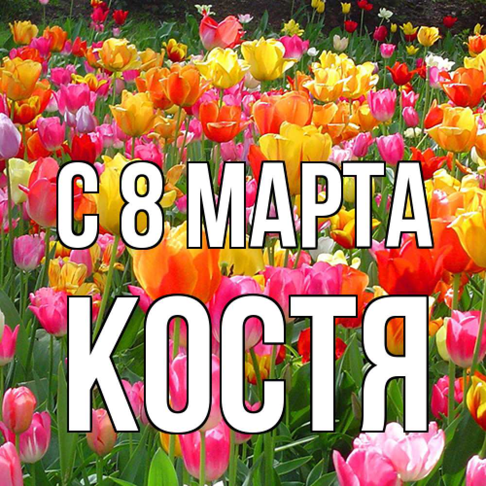 Открытка на каждый день с именем, Костя C 8 МАРТА на международный женский день Прикольная открытка с пожеланием онлайн скачать бесплатно 