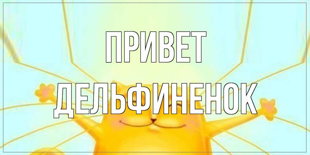 Открытка на каждый день с именем, дельфиненок Привет кот Прикольная открытка с пожеланием онлайн скачать бесплатно 