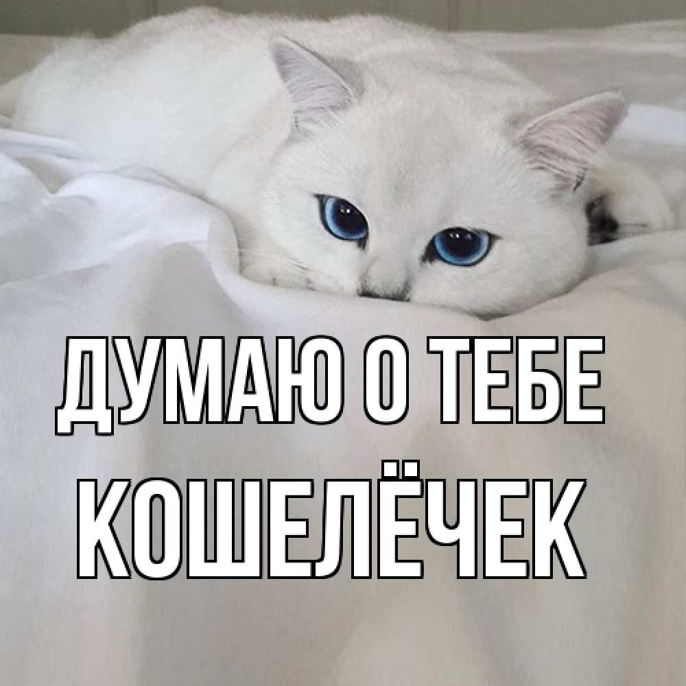 Открытка на каждый день с именем, кошелёчек Думаю о тебе я очень по тебе скучаю и тоскую Прикольная открытка с пожеланием онлайн скачать бесплатно 