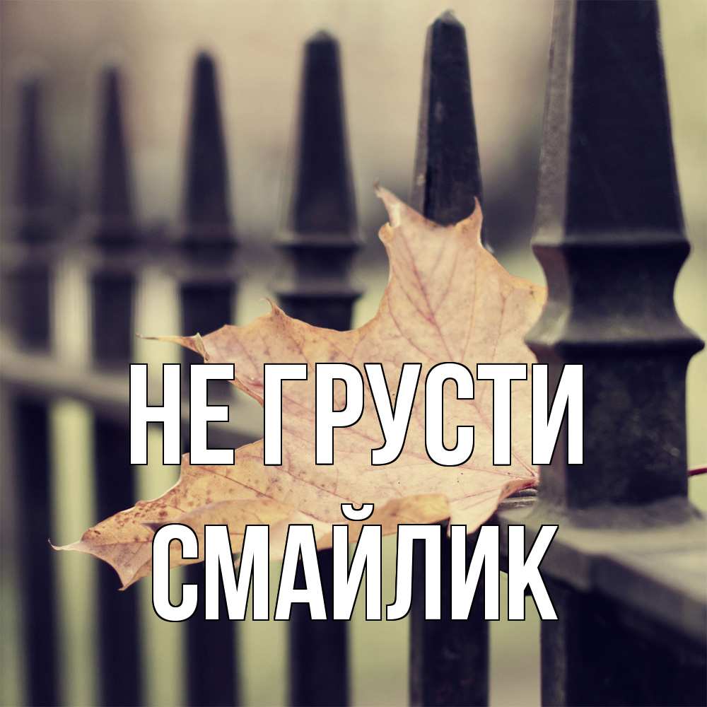 Открытка на каждый день с именем, Смайлик Не грусти лист клена Прикольная открытка с пожеланием онлайн скачать бесплатно 