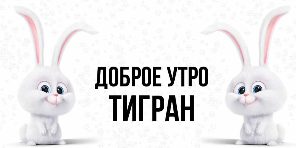 Открытка на каждый день с именем, Тигран Доброе утро кролики с длинными ушками Прикольная открытка с пожеланием онлайн скачать бесплатно 