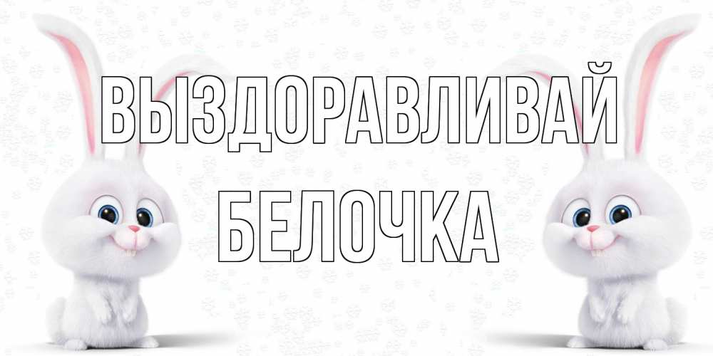 Открытка на каждый день с именем, Белочка Выздоравливай не болей с зайцем Прикольная открытка с пожеланием онлайн скачать бесплатно 