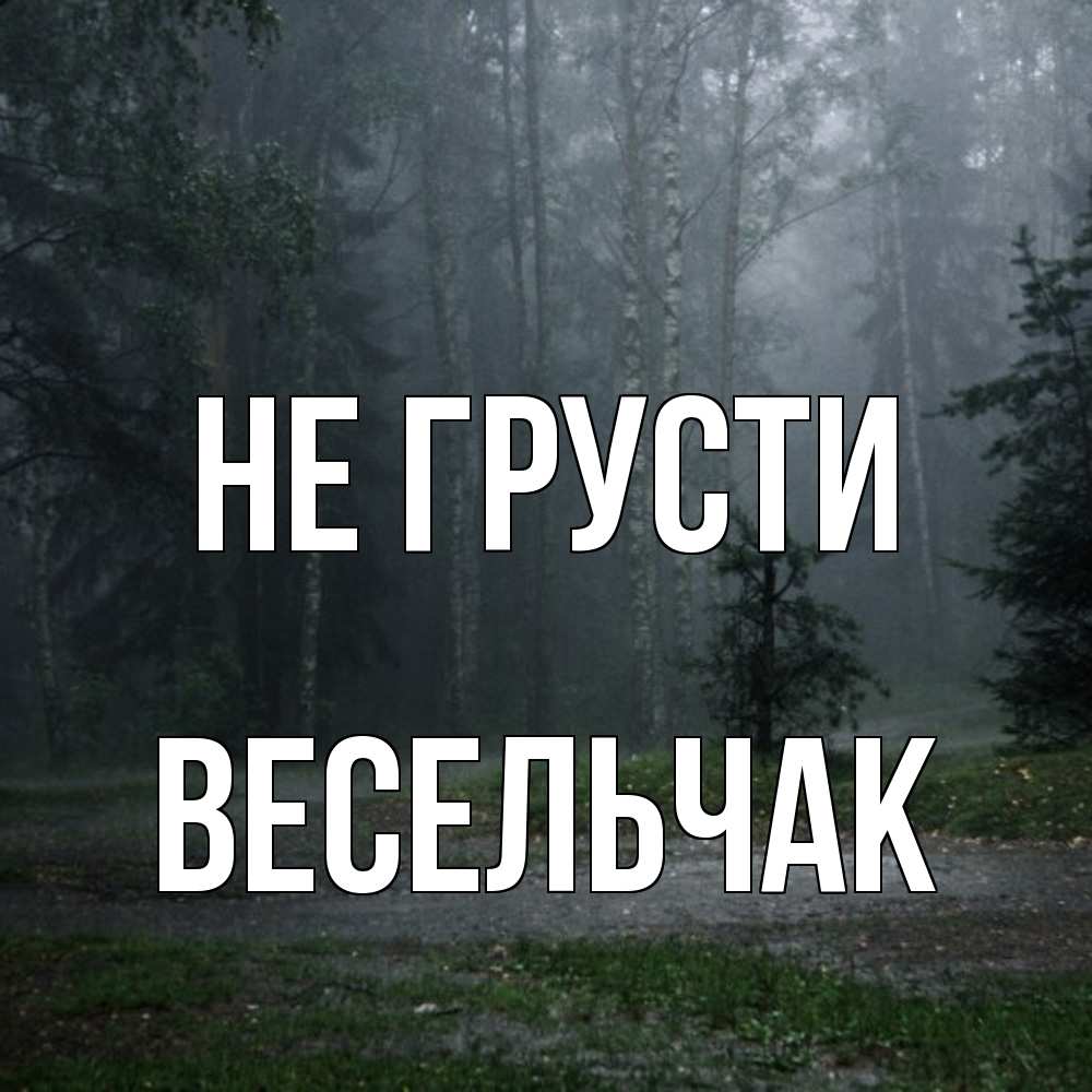Открытка на каждый день с именем, Весельчак Не грусти осень Прикольная открытка с пожеланием онлайн скачать бесплатно 