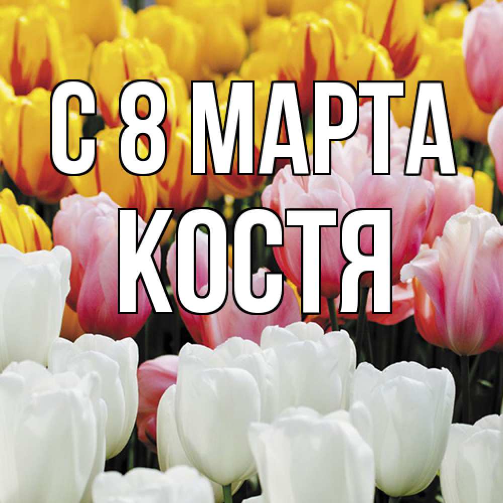 Открытка на каждый день с именем, Костя C 8 МАРТА разноцветные цветы Прикольная открытка с пожеланием онлайн скачать бесплатно 