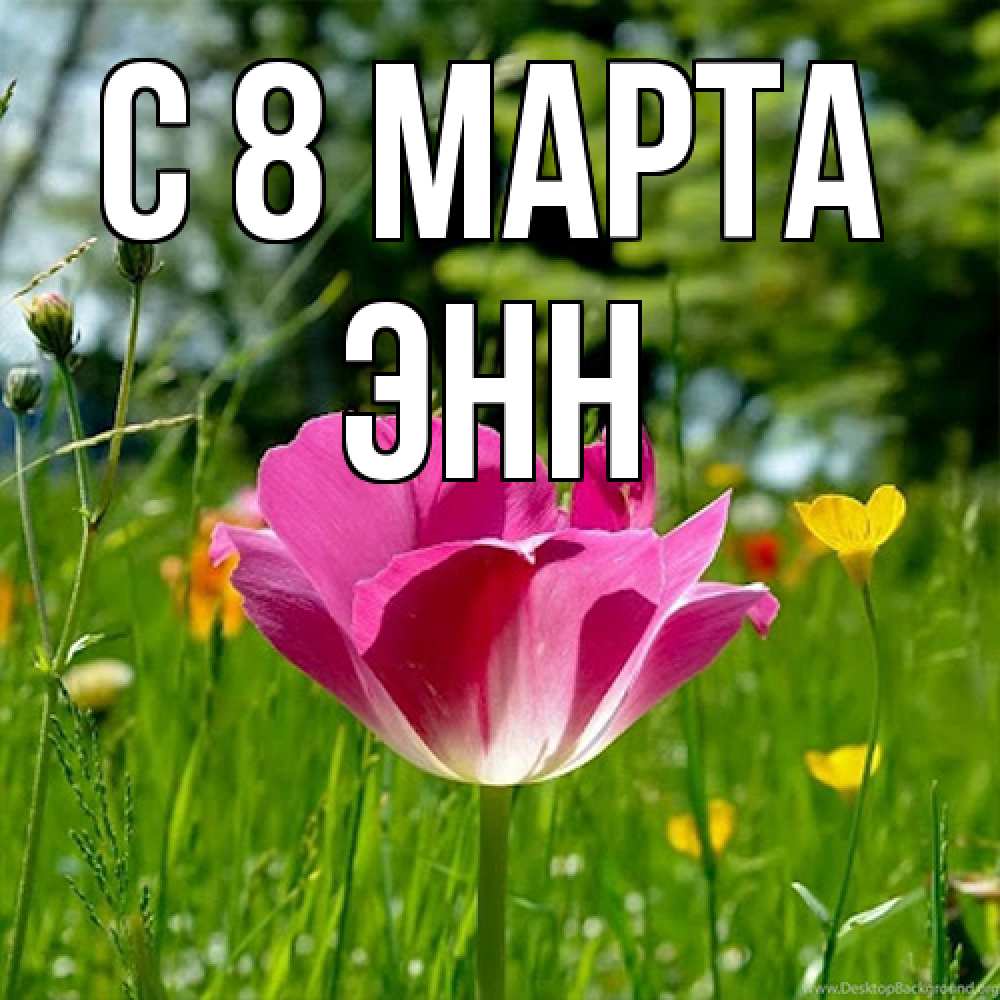 Открытка на каждый день с именем, Энн C 8 МАРТА полевые цветы Прикольная открытка с пожеланием онлайн скачать бесплатно 