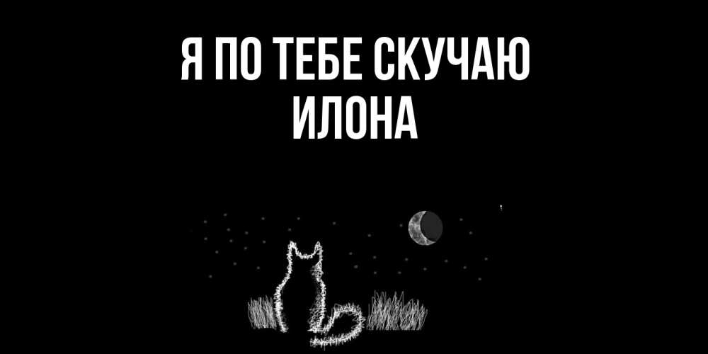 Открытка на каждый день с именем, Илона Я по тебе скучаю кот Прикольная открытка с пожеланием онлайн скачать бесплатно 