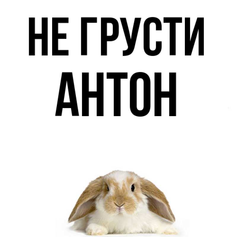 Картинка Не грусти, Антон
