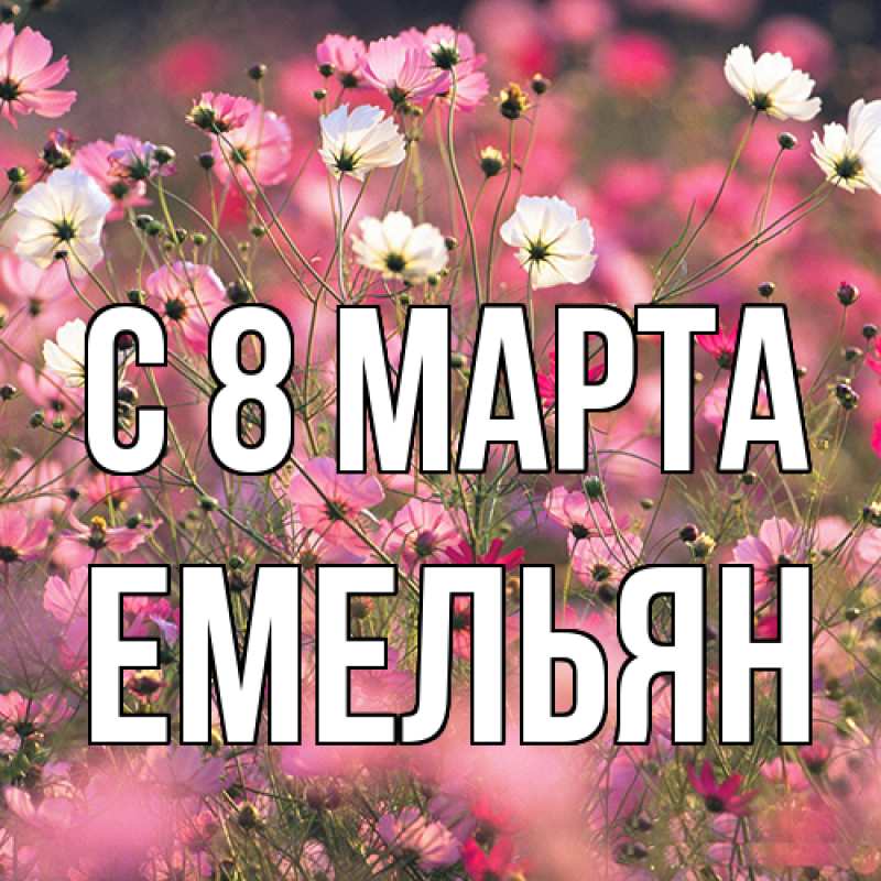 Картинка C 8 МАРТА, Емельян
