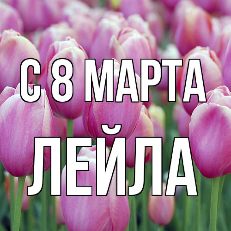 Картинка C 8 МАРТА, Лейла