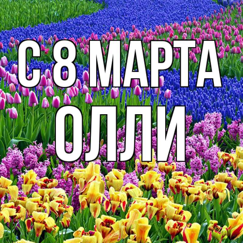 Картинка C 8 МАРТА, Олли