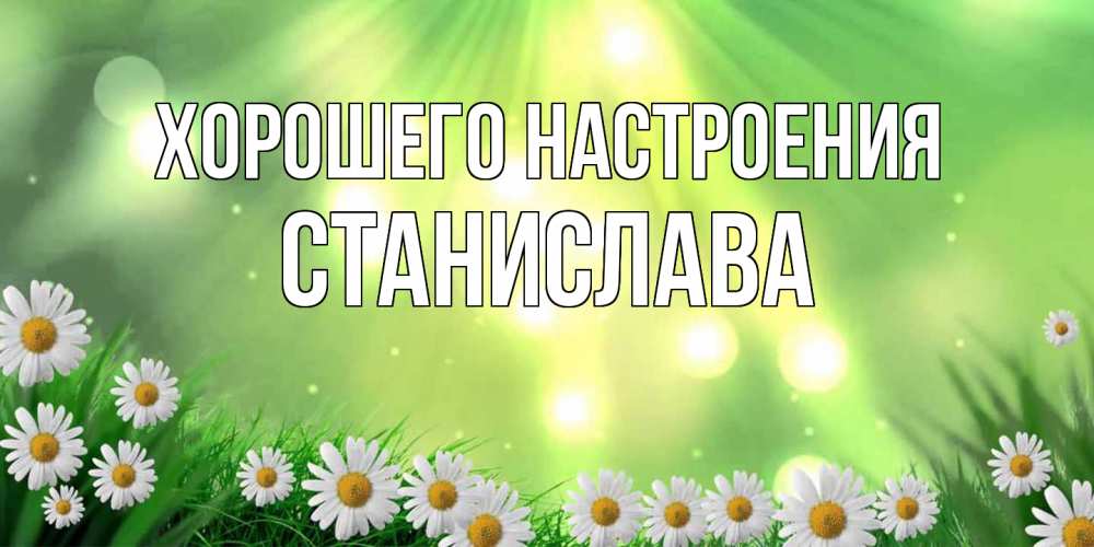 Открытка на каждый день с именем, Станислава Хорошего настроения открытка с ромашками и солнечными лучами Прикольная открытка с пожеланием онлайн скачать бесплатно 