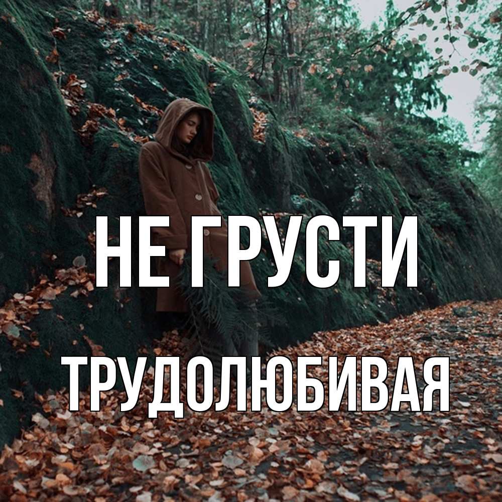 Открытка на каждый день с именем, Трудолюбивая Не грусти осенний лес Прикольная открытка с пожеланием онлайн скачать бесплатно 