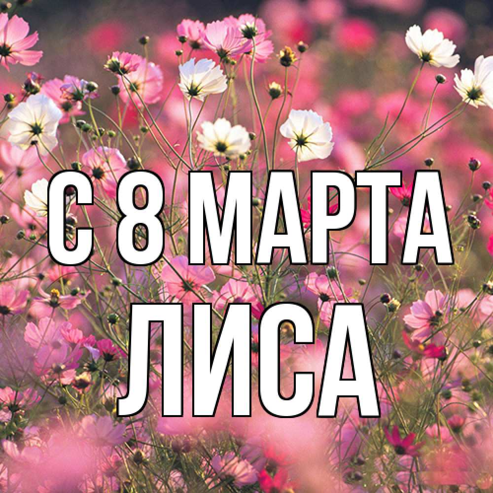 Открытка на каждый день с именем, лиса C 8 МАРТА красиво 1 Прикольная открытка с пожеланием онлайн скачать бесплатно 