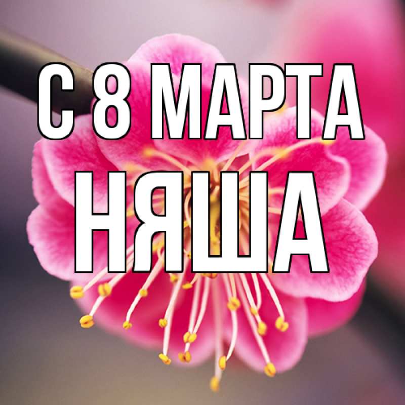 Картинка C 8 МАРТА, няша