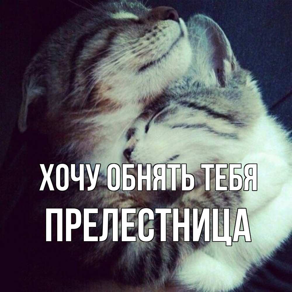 Открытка на каждый день с именем, пpелестница Хочу обнять тебя полосатики Прикольная открытка с пожеланием онлайн скачать бесплатно 