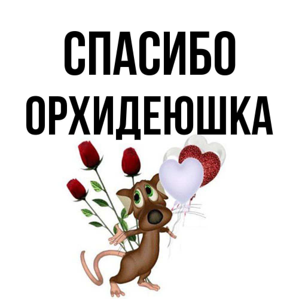 Открытка на каждый день с именем, Орхидеюшка Спасибо песик с шариками в форме сердец Прикольная открытка с пожеланием онлайн скачать бесплатно 