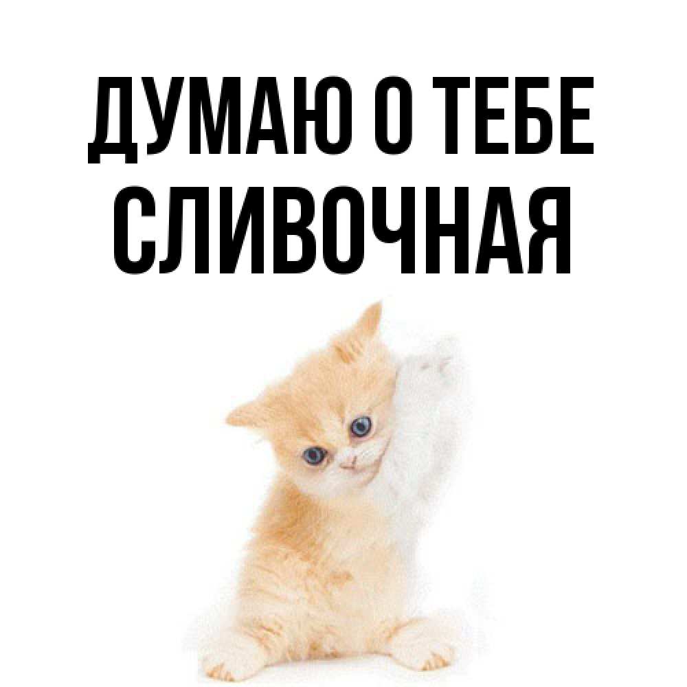 Открытка на каждый день с именем, Сливочная Думаю о тебе зверушки и милота Прикольная открытка с пожеланием онлайн скачать бесплатно 