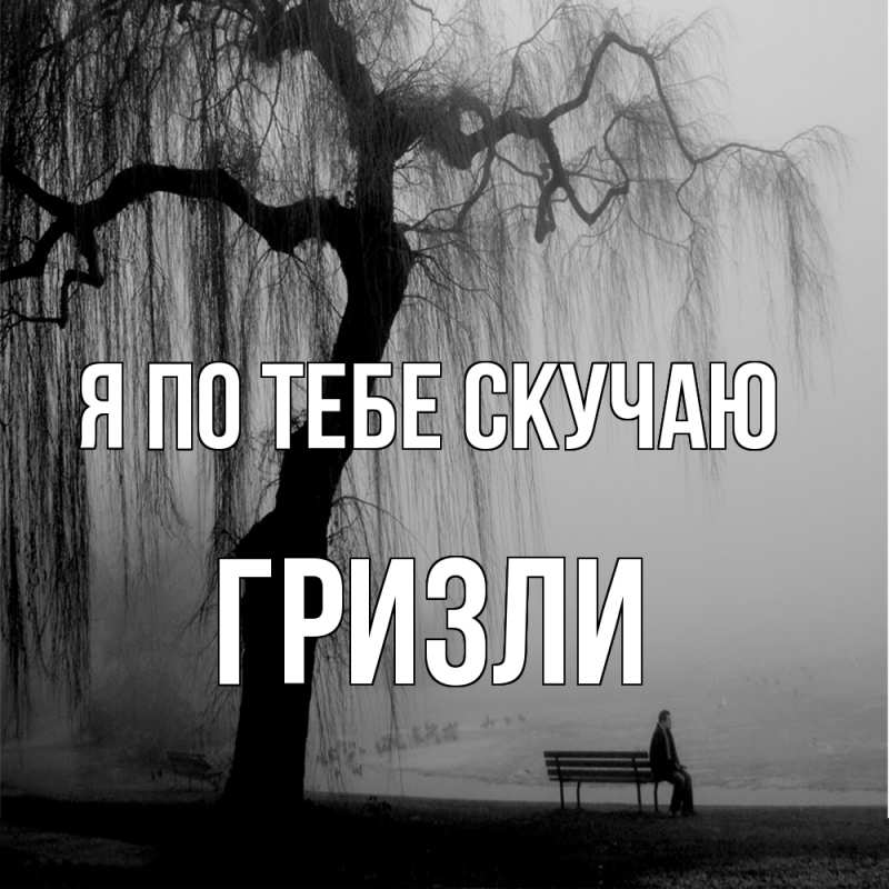 Картинка Я по тебе скучаю, Гризли