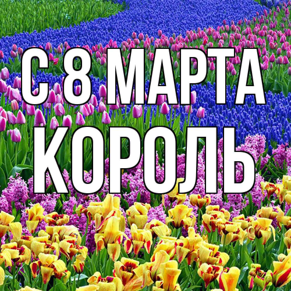 Открытка на каждый день с именем, Король C 8 МАРТА цветы Прикольная открытка с пожеланием онлайн скачать бесплатно 