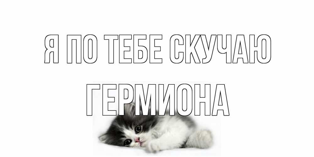 Открытка на каждый день с именем, Гермиона Я по тебе скучаю кот, скука Прикольная открытка с пожеланием онлайн скачать бесплатно 