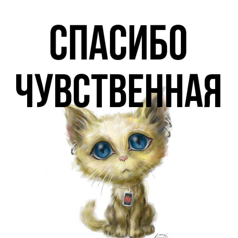 Открытка на каждый день с именем, Чувственная Спасибо рисованный кот благодарит вас Прикольная открытка с пожеланием онлайн скачать бесплатно 