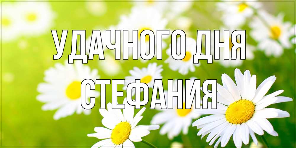 Открытка на каждый день с именем, Стефания Удачного дня открытка с ромашками на зеленом фоне Прикольная открытка с пожеланием онлайн скачать бесплатно 