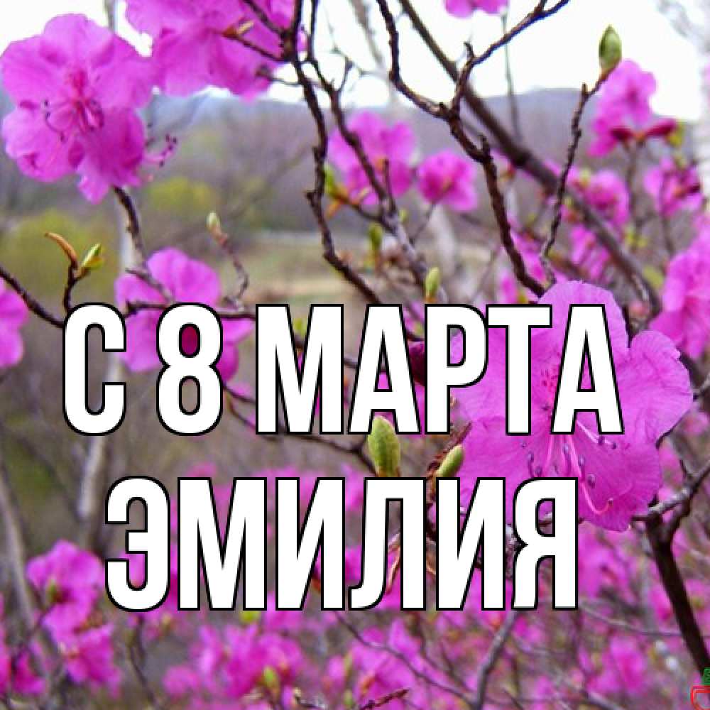 Открытка на каждый день с именем, Эмилия C 8 МАРТА международный женский день Прикольная открытка с пожеланием онлайн скачать бесплатно 