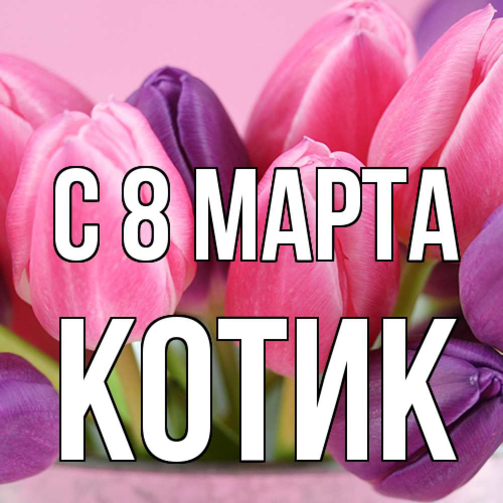 Открытка на каждый день с именем, Котик C 8 МАРТА маме 1 Прикольная открытка с пожеланием онлайн скачать бесплатно 